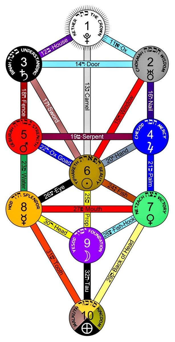 ALBERO DELLA VITA